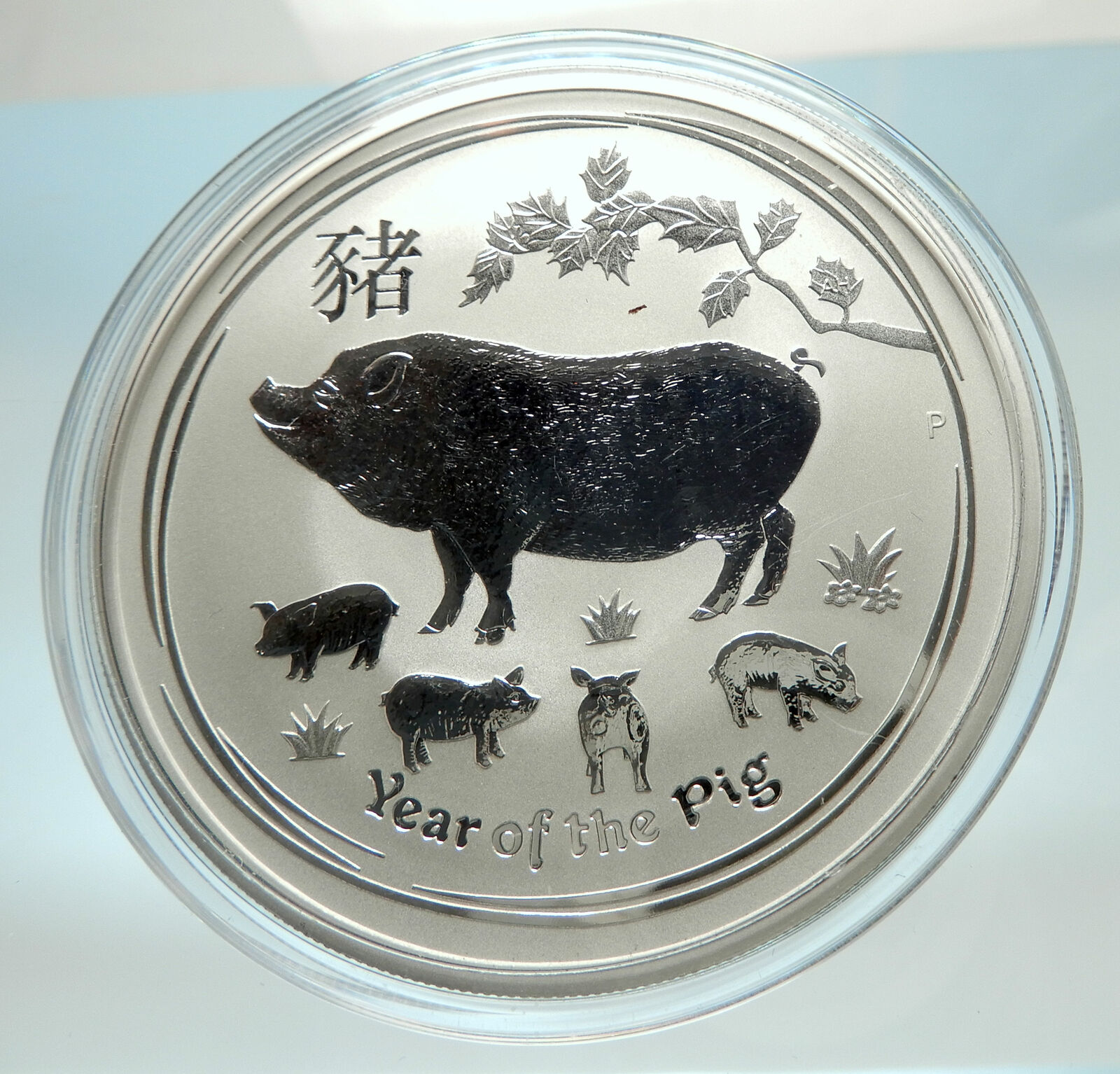 2019 AUSTRALIA Elizabeth II Chinese Pig Zodiac Genuine Large Silver Coin i76592