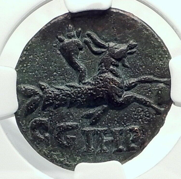 SEVERUS ALEXANDER 222AD Parium Parion Mysia Ancient Roman Coin CAPRICORN i77404