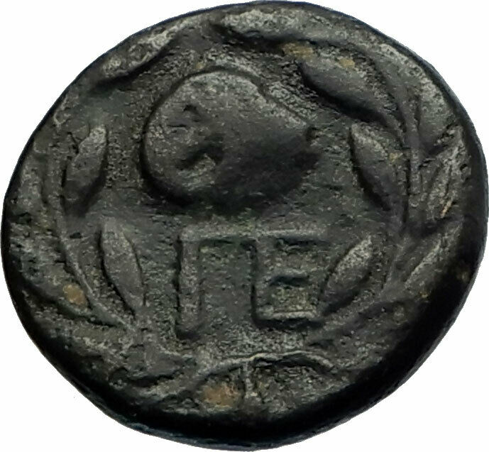 PELLENE in ACHAIA Authentic Ancient RARE 325BC Greek Coin APOLLO RAM i77159