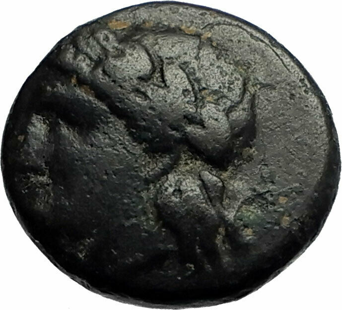 PELLENE in ACHAIA Authentic Ancient RARE 325BC Greek Coin APOLLO RAM i77159