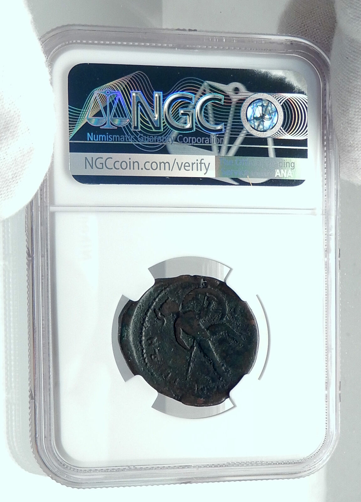 ANTIOCHOS III MEGAS Seleukid Ancient RARE 26mm Greek Coin w ELEPHANT NGC i78678