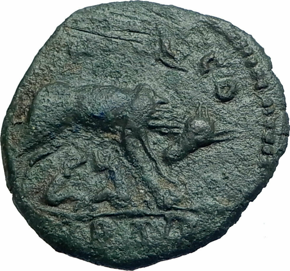 VALERIAN I 253AD Ancient ALEXANDRIA TROAS Wolf Romulus Remus Roman Coin i78422