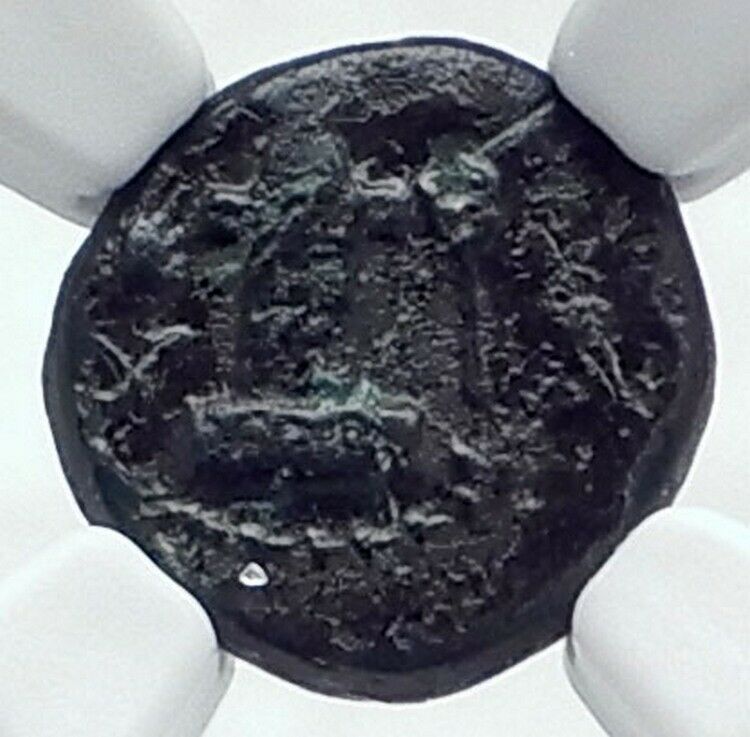 SESTOS in THRACE Authentic Ancient VERY RARE 300BC Greek Coin w HERM NGC i81127