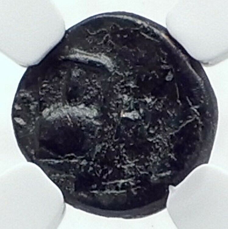 SESTOS in THRACE Authentic Ancient VERY RARE 300BC Greek Coin w HERM NGC i81127