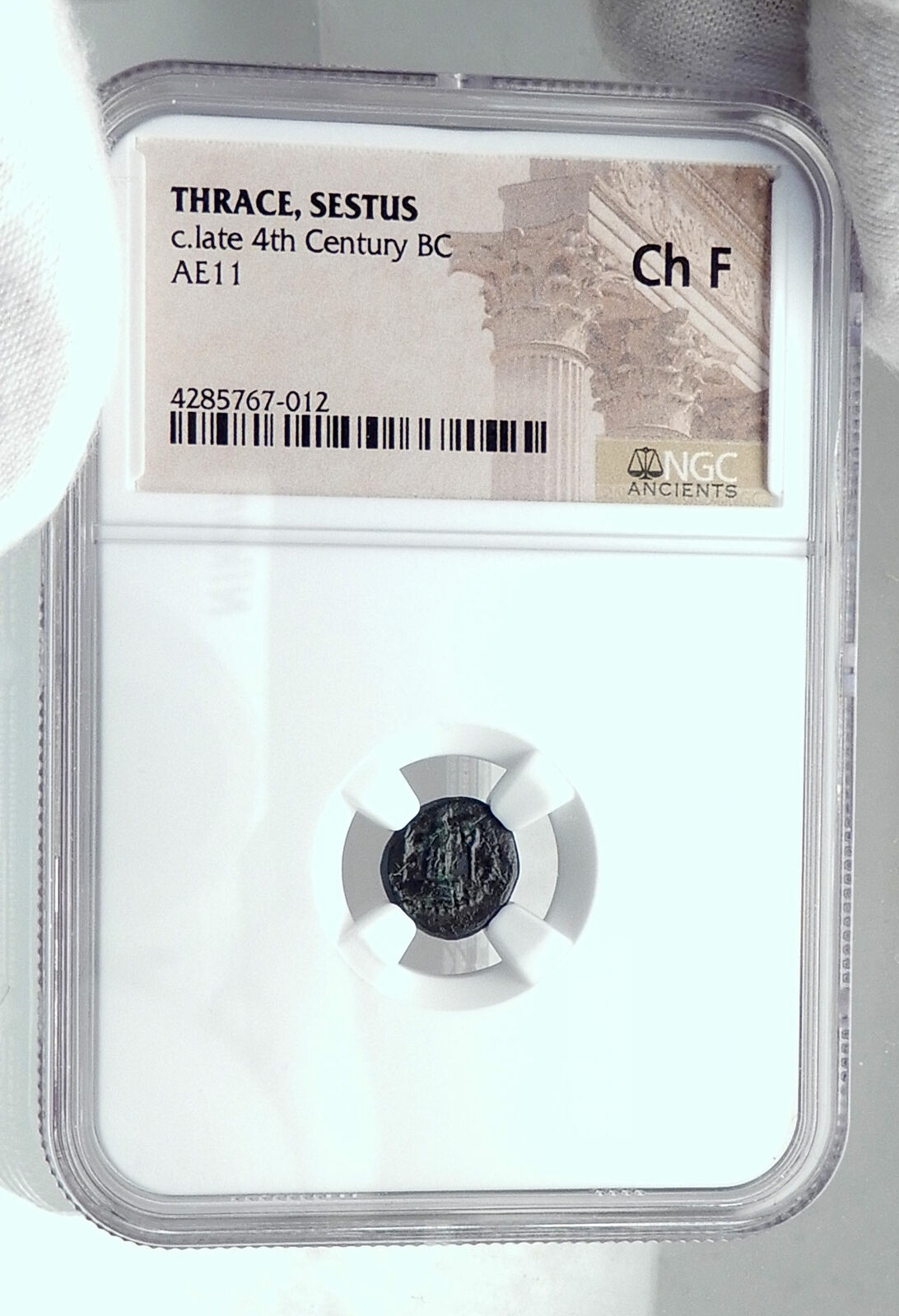 SESTOS in THRACE Authentic Ancient VERY RARE 300BC Greek Coin w HERM NGC i81127