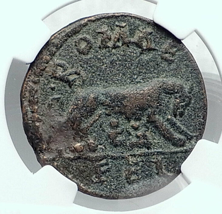 MACRINUS Authentic Ancient Laodicea ad Mare Roman Coin SHE WOLF TWINS NGC i81323