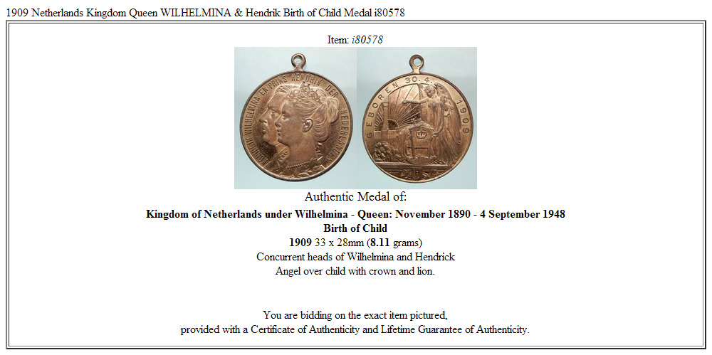 1909 Netherlands Kingdom Queen WILHELMINA & Hendrik Birth of Child Medal i80578