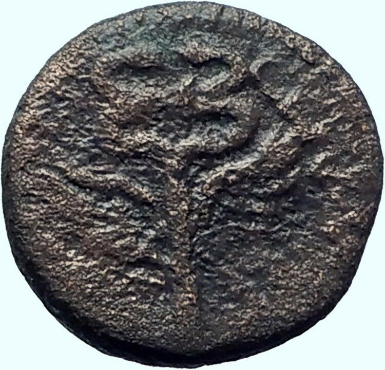 DOMITIAN 83AD Caesarea Maritima Judaea Capta Rare Ancient Roman Coin i42177