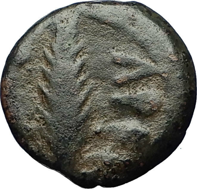 Biblical Jerusalem Saint Paul NERO Time PORCIUS FESTUS Ancient Roman Coin i69509