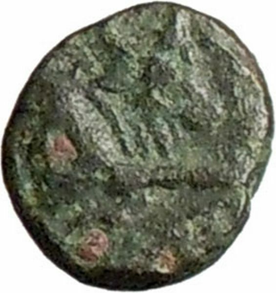 Greek City 350BC Authentic Ancient Greek Coin Forepart of bull APOLLO i28182