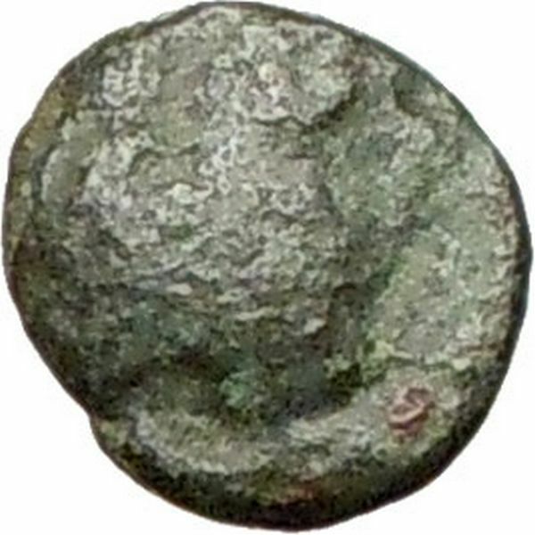 Greek City 350BC Authentic Ancient Greek Coin Forepart of bull APOLLO i28182