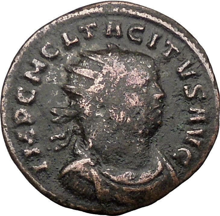 Tacitus 275AD Very rare Ancient Roman Coin Hygiea Salus Health Cult i36491