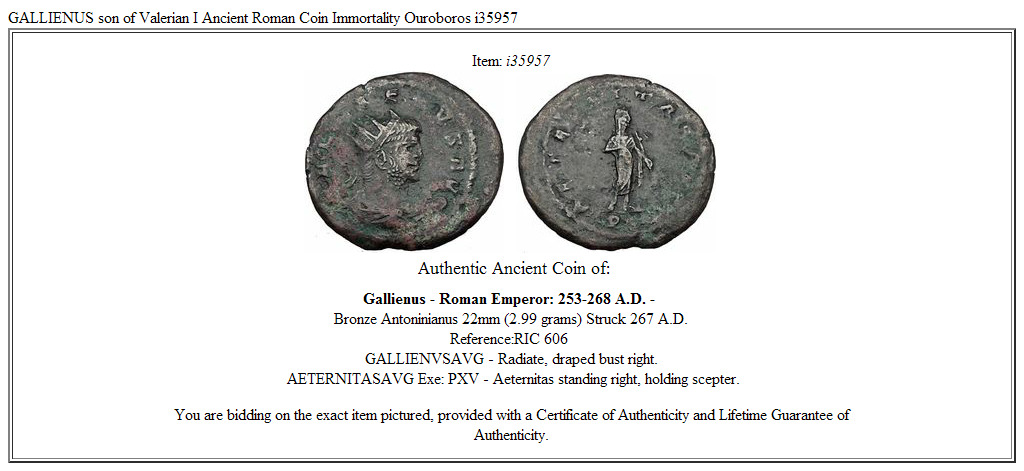 GALLIENUS son of Valerian I Ancient Roman Coin Immortality Ouroboros i35957