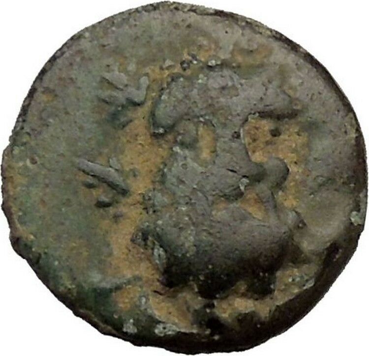 Selge in Psidia 150BC Very Rare Greek Coin Bearded Hercules facing Stag i36748