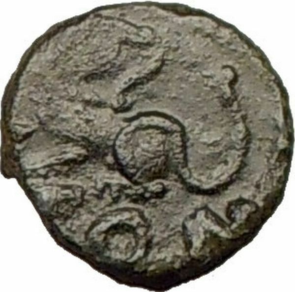 LEO I 457AD Rare Authentic Ancient Genuine Roman Coin Lion seated i17269