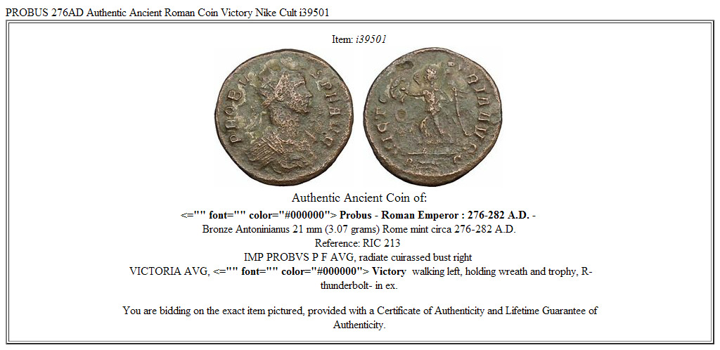 PROBUS 276AD Authentic Ancient Roman Coin Victory Nike Cult i39501