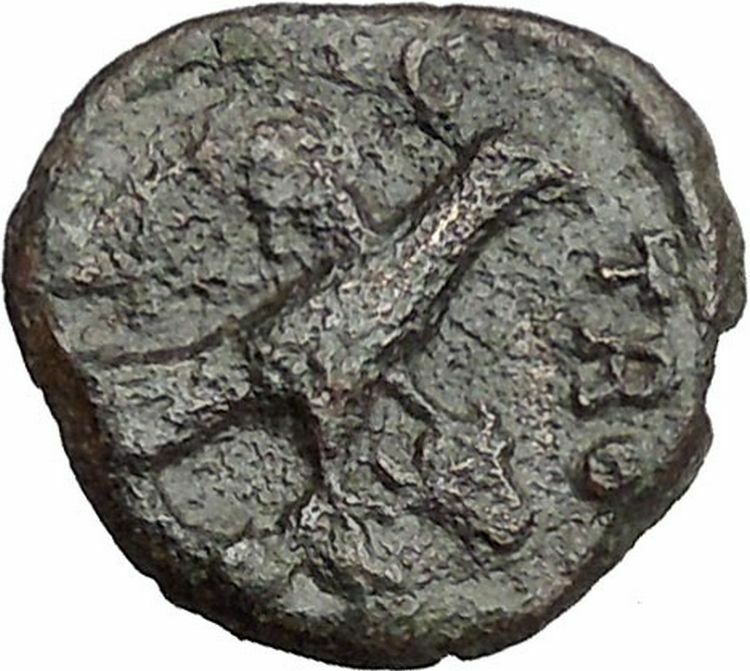 Greek City of ALEXANRIA TROAS 253AD Ancient Roman Coin Tyche Eagle Bull i41494