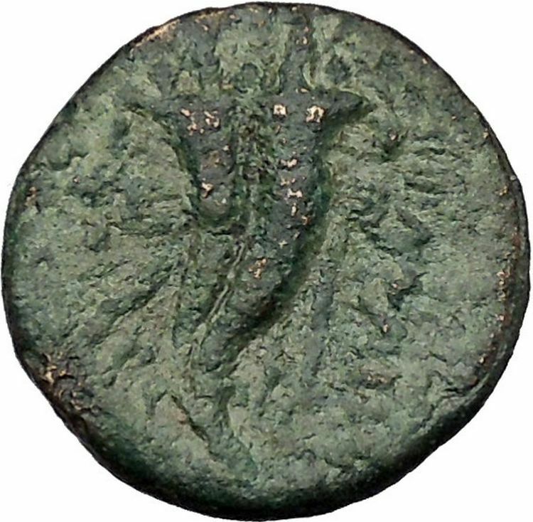 MARATHOS in PHOENICIA 130BC Zeus Cornucopia Authentic Ancient Greek Coin i45107