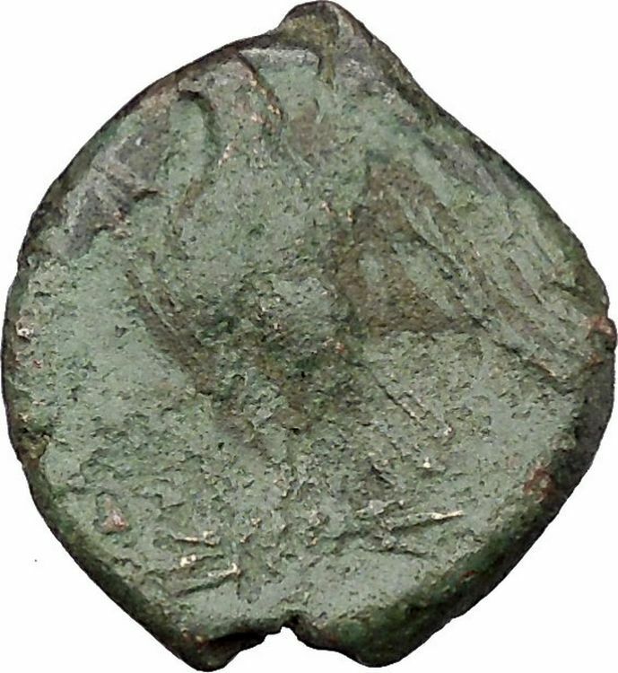 Syracuse in Sicily 288BC Hiketas Ancient Greek Coin Zeus Hellanios Eagle i45650