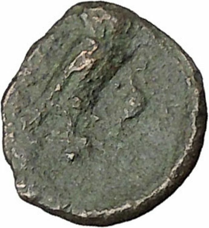 Kamarina in Sicily 413BC Ancient Greek Coin OWL Gorgon's Medusa head i45758