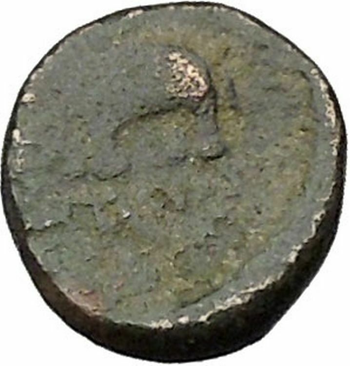 Antiochos III the Great 223BC RARE Ancient Greek Coin Elephant i46037