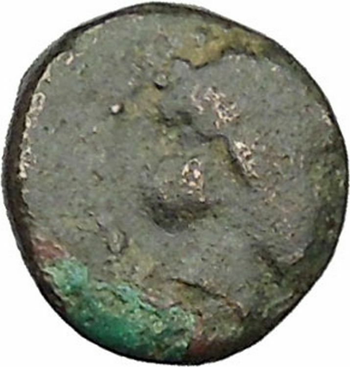 Antiochos III the Great 223BC RARE Ancient Greek Coin Elephant i46037