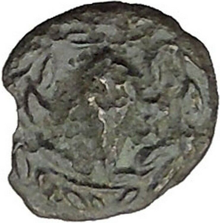 Elaia in Asia Minor 4th-3rdCentBC Ancient Greek Coin Athena Corn-grain i46041