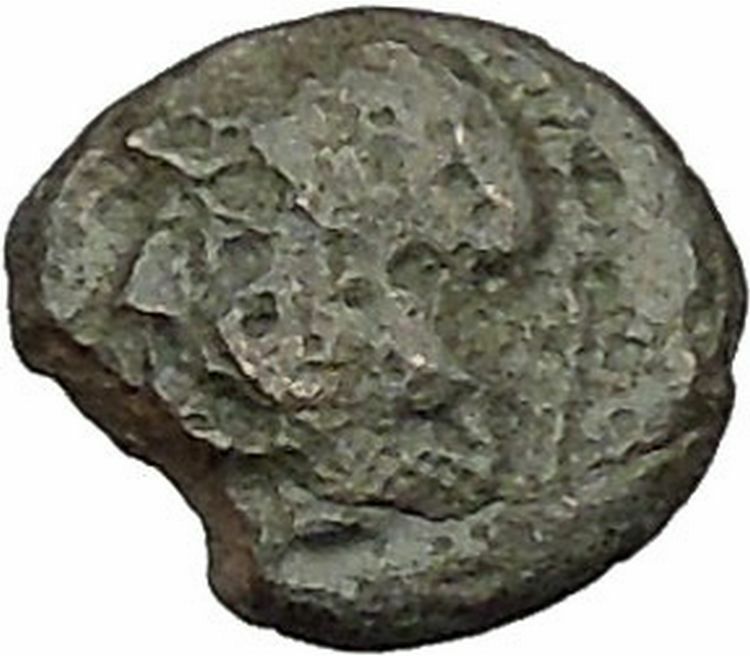 Elaia in Asia Minor 4th-3rdCentBC Ancient Greek Coin Athena Corn-grain i46041