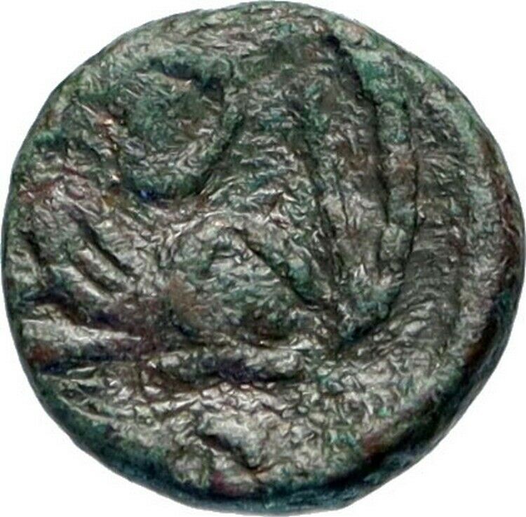 LEO I 457AD AE4 Original Authentic Ancient Genuine Roman Coin LION Rare i46745