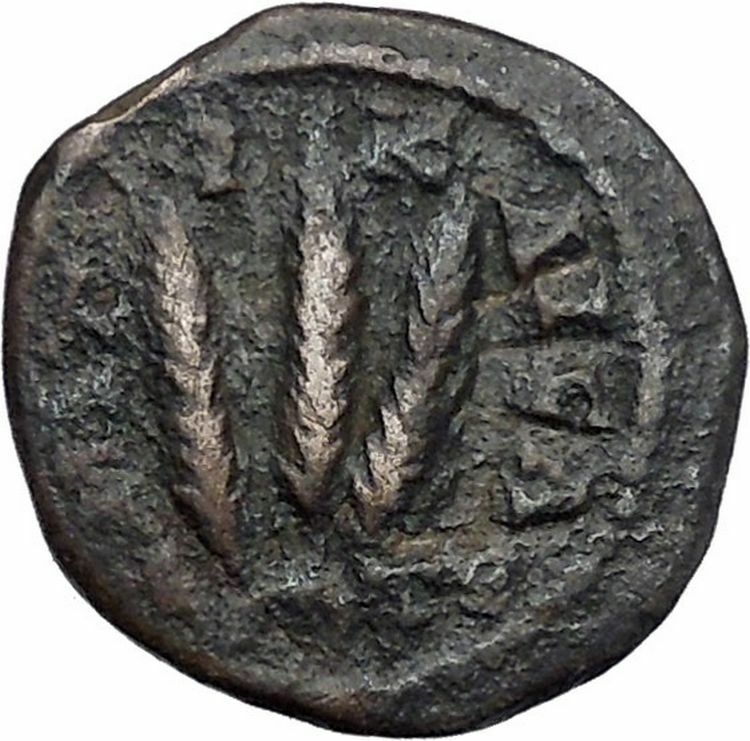 SEVERUS ALEXANDER 226AD Caesarea Cappadocia Grain Ears Ancient Roman Coin i46837