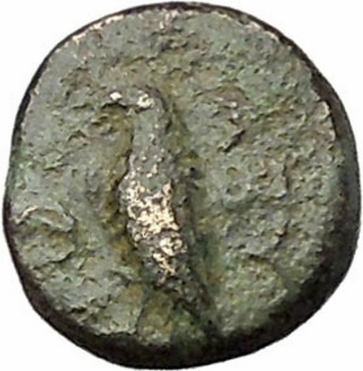 ABYDOS in TROAS 320BC Apollo Eagle Authentic Original Ancient Greek Coin i45499