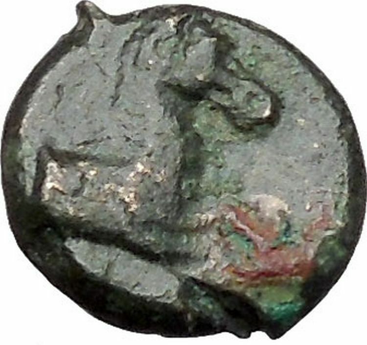 Panormos in Sicily 336BC RARE Ancient Greek Coin APOLLO Cult Horse i47295