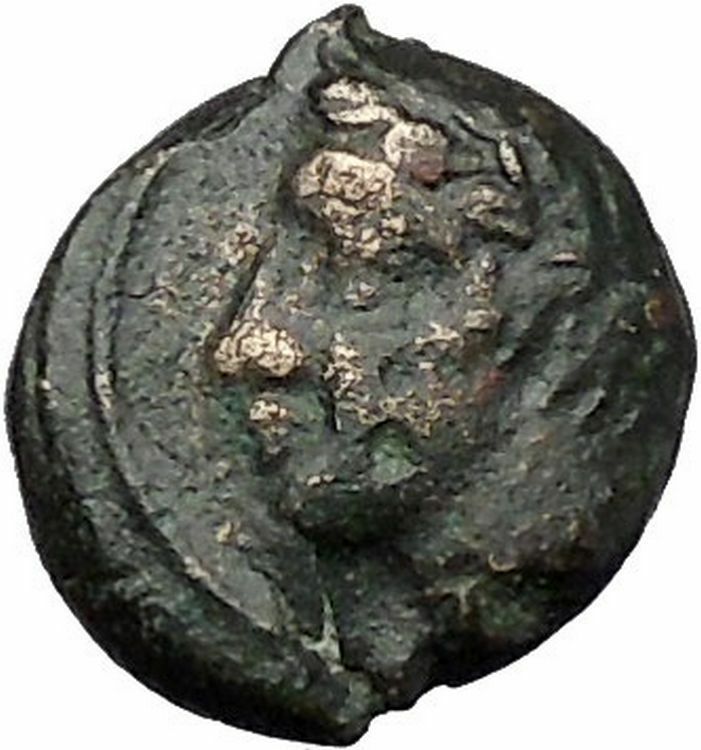 Panormos in Sicily 336BC RARE Ancient Greek Coin APOLLO Cult Horse i47295