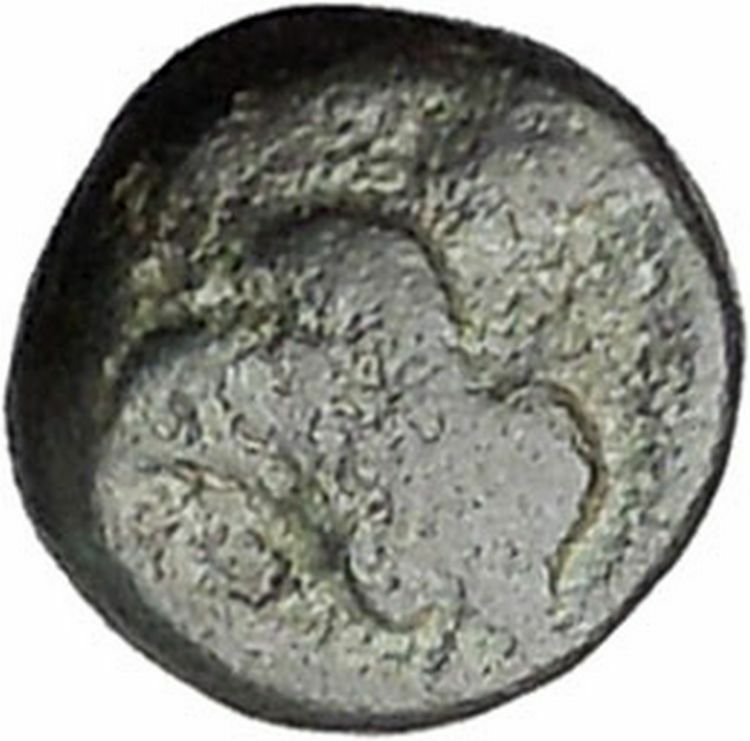 RHODES Island Off CARIA 394BC Nymph Rhodos ROSE Ancient Greek Coin i47737