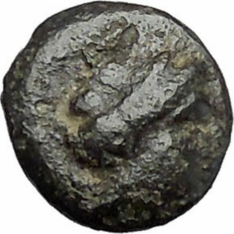 RHODES Island Off CARIA 394BC Nymph Rhodos ROSE Ancient Greek Coin i47736