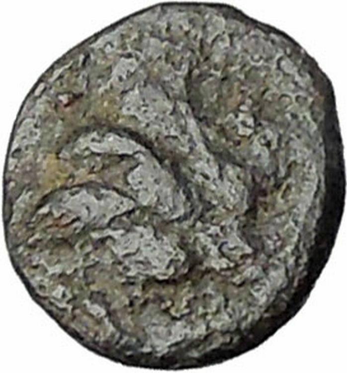 RHODES Island Off CARIA 394BC Nymph Rhodos ROSE Ancient Greek Coin i47736