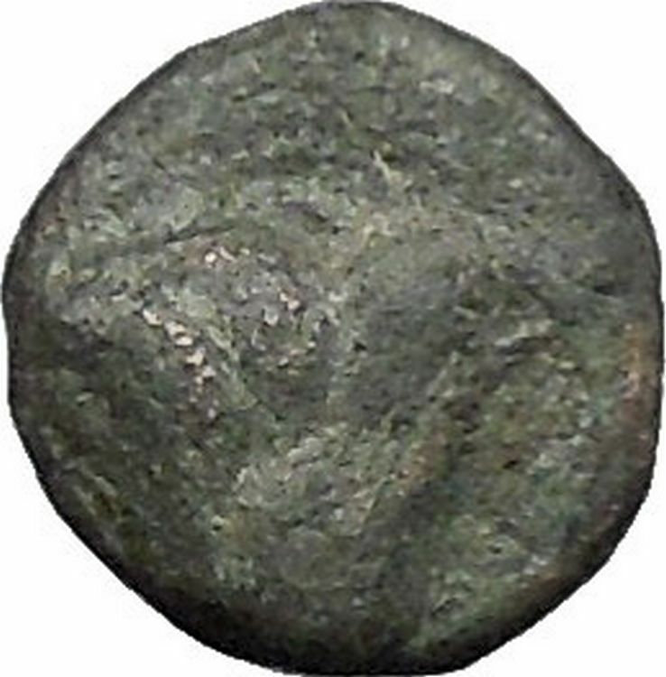 Greek city of Rhodes, Islands off Caria 304BC Ancient Coin Rose i48245