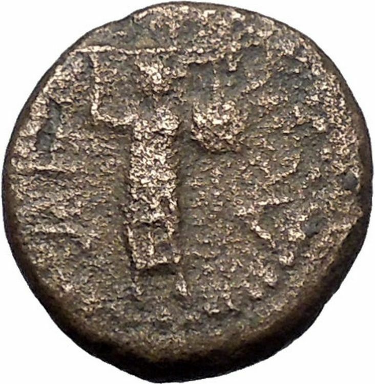 DOMITIAN 95AD Ascalon in Judaea Phanebal Authentic Ancient Roman Coin i47990