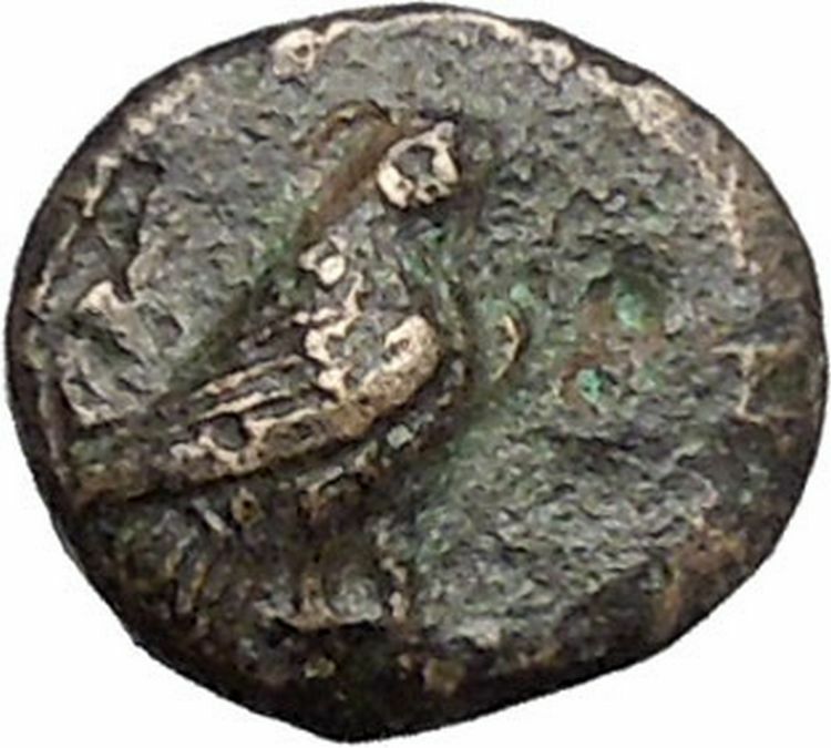 Kyme in Aeolis 350BC EAGLE & VASE on Authentic Ancient Greek Coin i48601