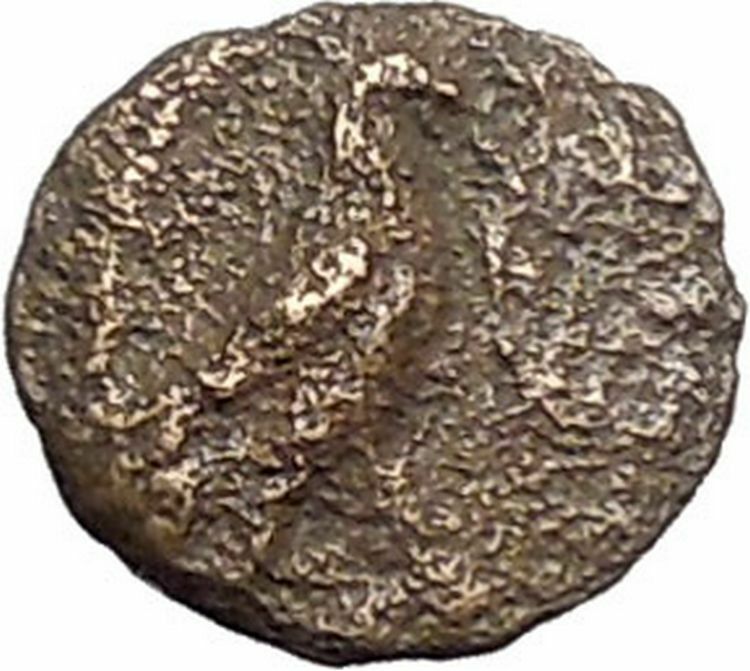 Kyme in Aeolis 350BC EAGLE & VASE on Authentic Ancient Greek Coin i48572