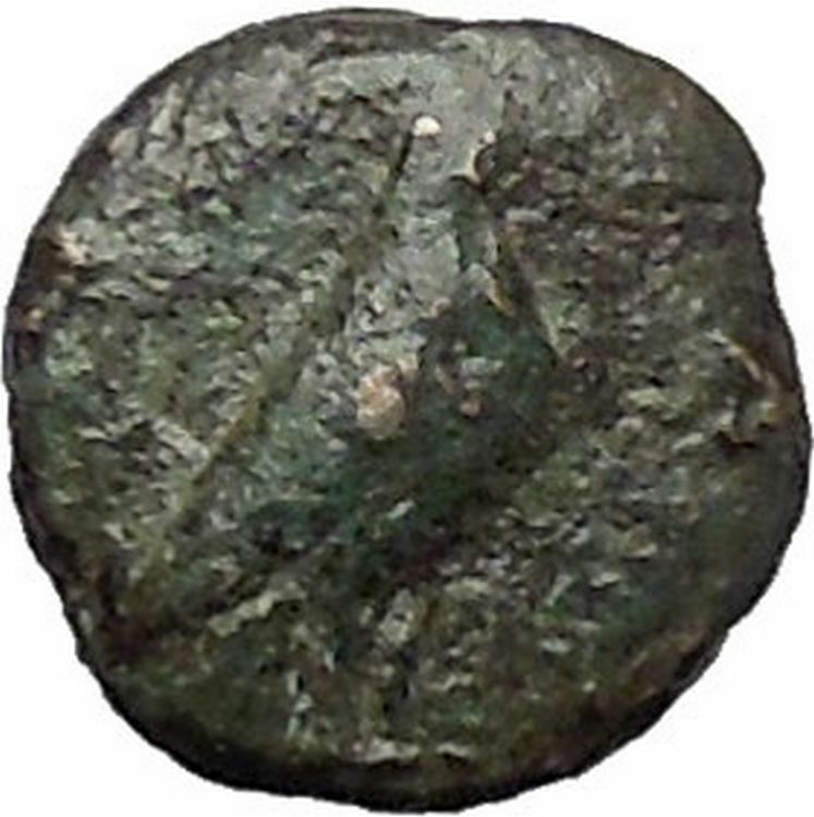 Kyme in Aeolis 350BC EAGLE & VASE on Authentic Ancient Greek Coin i48610