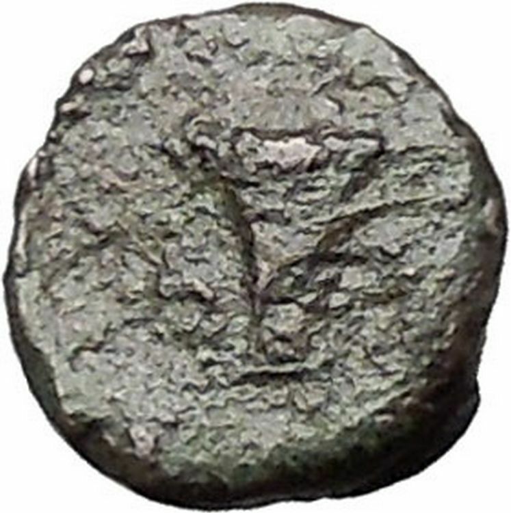 Kyme in Aeolis 350BC EAGLE & VASE on Authentic Ancient Greek Coin i48610