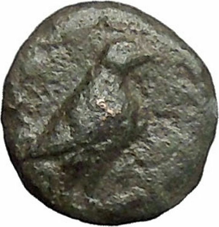 Kyme in Aeolis 350BC EAGLE & VASE on Authentic Ancient Greek Coin i48579