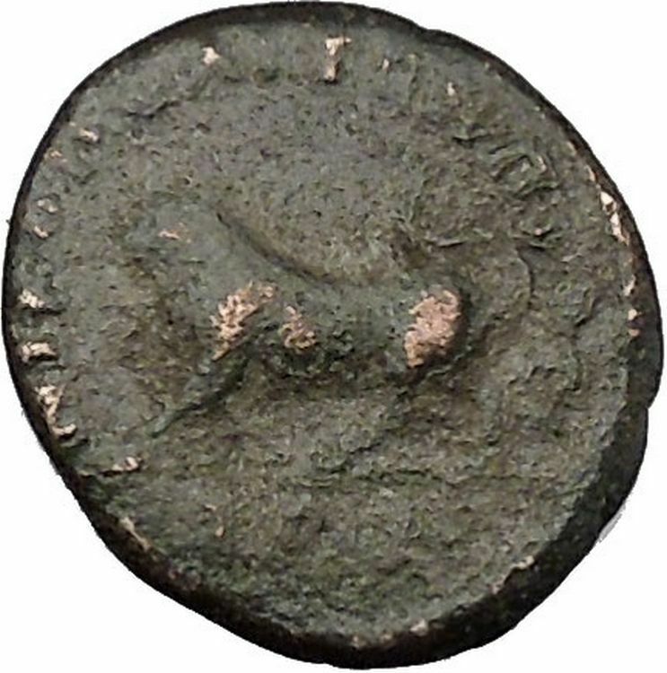 JULIA DOMNA Nicopolis ad Istrum Ancient Roman Coin Cretan bull Hercules i48499