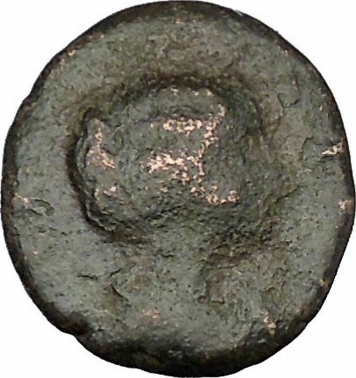 JULIA DOMNA Nicopolis ad Istrum Ancient Roman Coin Cretan bull Hercules i48499