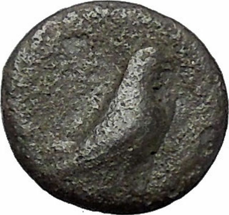 Kyme in Aeolis 350BC EAGLE & VASE on Authentic Ancient Greek Coin i48593