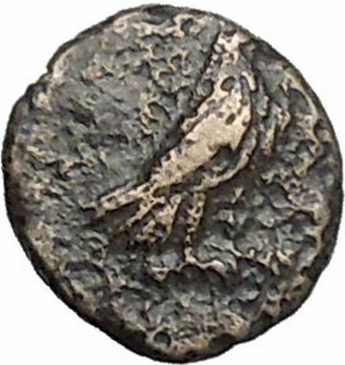 Kyme in Aeolis 350BC EAGLE & VASE on Authentic Ancient Greek Coin i48566