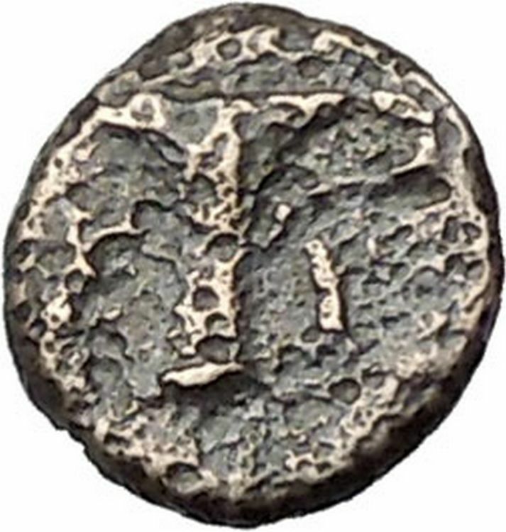 Kyme in Aeolis 350BC EAGLE & VASE on Authentic Ancient Greek Coin i48566