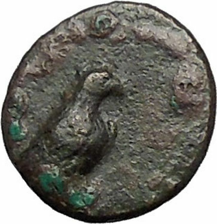 Kyme in Aeolis 350BC EAGLE & VASE on Authentic Ancient Greek Coin i48607