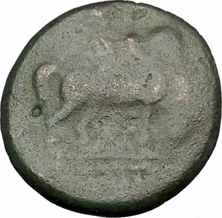 Odessos in Thrace 200BC Ancient Greek Coin Great God Heros riding Horse i47346